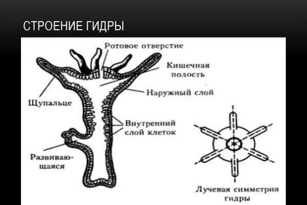 Кракен настоящее зеркало