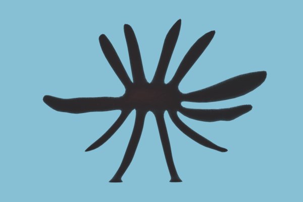 Пользователь не найден кракен