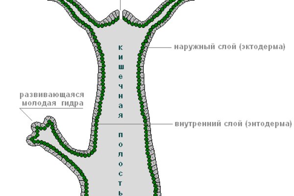 Как зайти в кракен через айфон