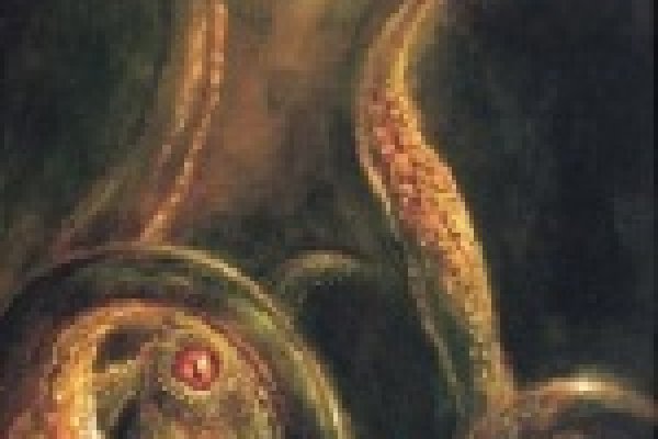Kraken 25at